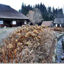 눈꽃초밥 이미지