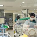 (주)새생명약품 메디게이트