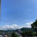 돈치킨진보점 | 서울 청송 대구 부산 찍고 포항 경주 안동에서 육주동안 살찌운이야기_41