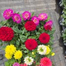 이레마트 이미지