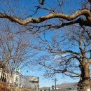 창원부동산1번지공인중개사사무소 이미지