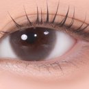 다비치안경 도곡역점 이미지