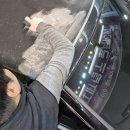 소프트올 이미지