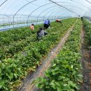 프리맨하우스 이미지