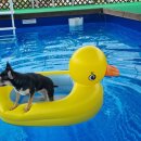 낄낄아놀자 이미지