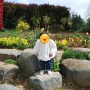 덕기목장 이미지