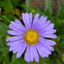 반야사부도2기 이미지