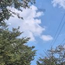 황토향기 | 완주 동상계곡 황토향기펜션 테이블 대여 후기, 동상 계곡 펜션 추천