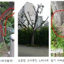 (주)참솔 이미지