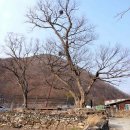 원동초등학교 이천분교장 이미지