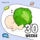 리안산부인과의원 | [임신일기] 30주차~31주차/환도선다/아기침대준비/베이비페어/아기옷정리/단축근무/백일해주사