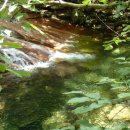 물소리새소리 이미지