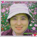 고운 머리방 Daum카페