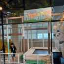 테이블에이 놀이터 이미지