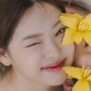 (유)진투어 이미지