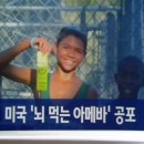 아메바