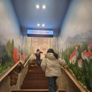 명동빌딩 | 서울동물카페 명동 루프캣미 고양이카페 체험후기