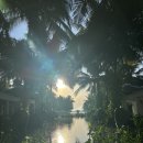 LOAN NGUYEN | 베트남 나트랑 여행 | 4월초 나트랑 여행 총정리 4박 5일 3-5일차 일정•맛집 / 판랑 사막 투어 / 미아...