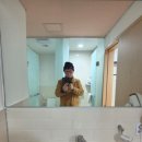 영월지오뮤지엄 이미지