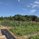 건우 농장 이미지