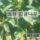 지우네 농장 이미지