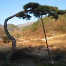 지리산농장 이미지