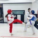 K-타이거즈 이미지