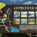 안천~용담 단풍나무길 | 2411 경주 1일: 도리마을 은행나무숲, 용담정, 운곡서원, H에비뉴호텔
