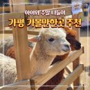 정원목장 | 가평 아기랑 가볼만한곳 추천 BEST 3 베고니아새정원 양떼목장 신비동물원 아쿠아가든