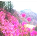 명산관광주