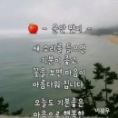 매미들의 노래소리가 행복을 주는 아침// 문안편지 //☆금지언향//누구나 나이는 먹어갑니다. 이미지