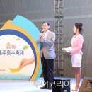 충주호수로 이미지