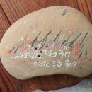 정희네 들꽃이야기 이미지