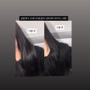 밤부 | 약산성 대용량 샴푸 추천 살림백서 오푼티아밤부샴푸 후기