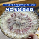 세븐일레븐 설악금강대교로점 | 속초 아바이회센터 맛집 추천 춘길호 주차 후기