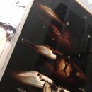 석일식당 이미지