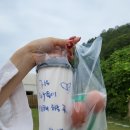 반디빌리지 이미지