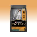 퍼피플랜 이미지