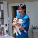 왕성카서비스 | 한국 영화 파과 스포일러 후기 뜻 해석 의미 쿠키 줄거리 등장인물 원작소설 명대사