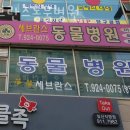 세브란스 동물병원 이미지