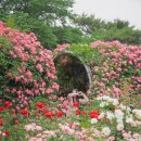 코끼리가든 이미지