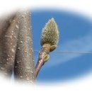 대복경로당 이미지