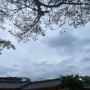 산책마을 SH작은도서관 | 아이랑 서울 시내 여행 북촌한옥마을 아기자기한 골목 산책과 기념품 사기