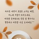 11월24일 월요일 ㅡ충방출석부 이미지