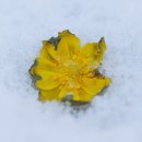 함양얼음 이미지