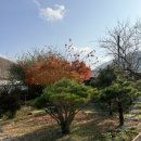 성주 | 보령 에어비앤비 - 어느날 성주 후기