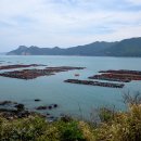 영산도명품마을 이미지