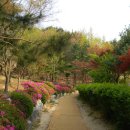 뻥튀기공원-1 이미지