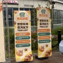 라구떼구스