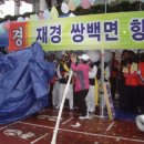 합천이모 이미지